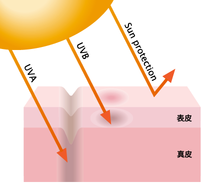 紫外線についてのイメージ図