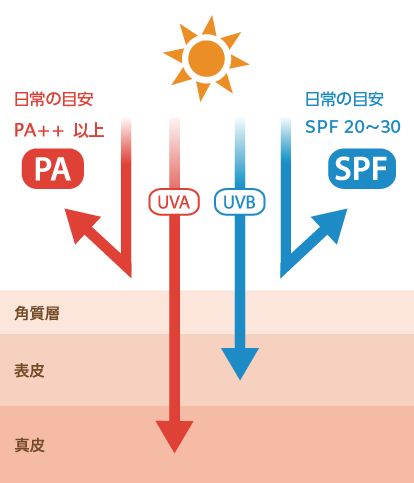 紫外線対策イメージ図